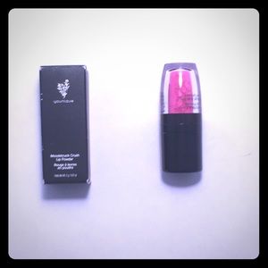 NWT Lip Powder (Crisp)